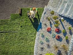 Mimarlık ve Mühendislik